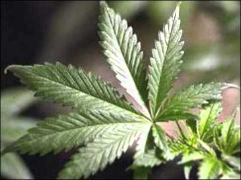 Nopsajalka ft Paleface - Mun Minimi