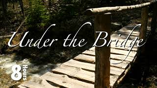 Listen to the Mountain creek flow under a rustic bridge in Kananaskis, Alberta, Canada.