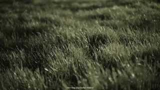 Bill Calahan - Say Valley Maker