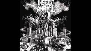 Insect Warfare - Lobotomized