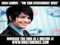 Adam Lambert - "For Your Entertainment Remix ...