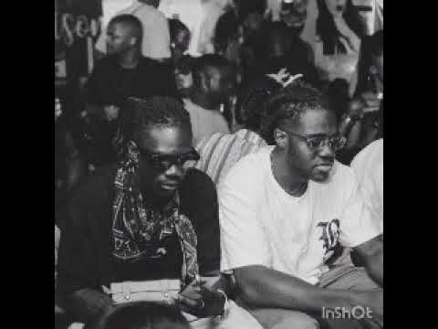 3XDAVS X DOUPI papillon X Milano X Tazeboy (Sheba Sheba)