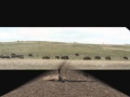Untitledold Paint Wmv
