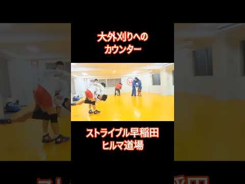大外刈りへのカウンター #格闘技 #サンボ #mma