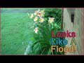 Looks Like A Flood!!! #34 | Life As I Know It Season ...