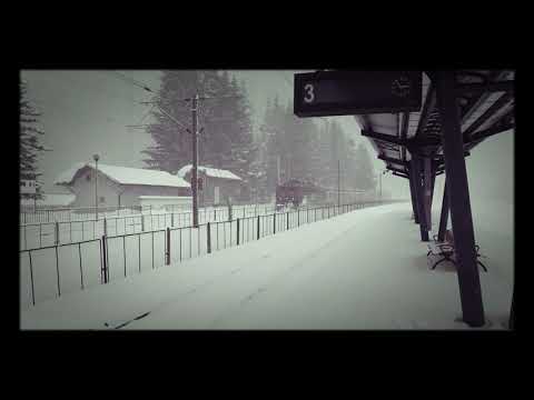 Trenul sosește în gara Azuga pe viscol