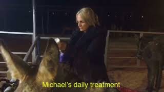 Michael's rescue and progress - video