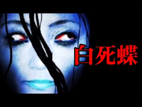 download lagu mp3 mp4 白 死 蝶, download lagu 白 死 蝶 gratis, unduh video klip 白 死 蝶