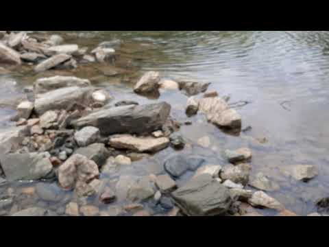 Vedavathi River view