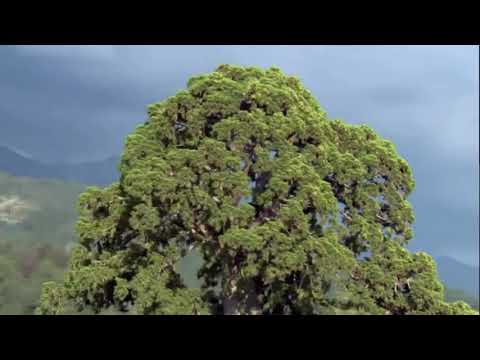 Я Сила Бога!