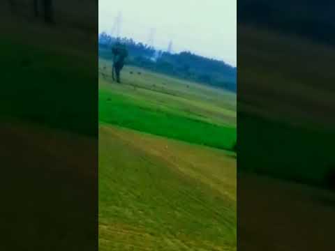 Nature lovers 😇😇😘😚💞💝💘💗