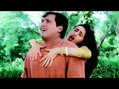 गोविंदा - करिश्मा | Ui Amma Ui Amma Kya Karta Hai | Govinda, Karisma Kapoor | Raja Babu | Poornima