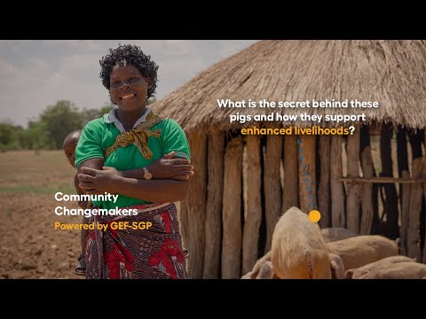Saving Against Climate Shocks | Community Changemakers S1/E2: A Story of Change in Monze