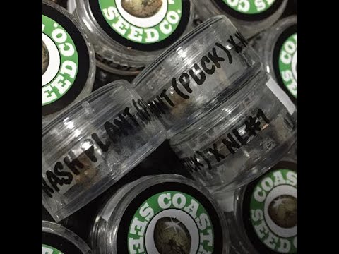 Episode 11 ft Mr Bob Hemphill of Coastal Seeds - 25/07/17