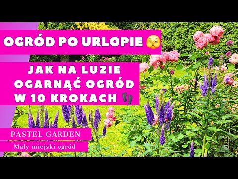 OGRÓD PO URLOPIE 🫣.  JAK NA LUZIE OGARNĄĆ OGRÓD W 10 KROKACH  . Byliny , hortensje , róże .