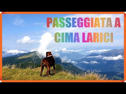 passeggiata nel BOSCO verso CIMA LARICI