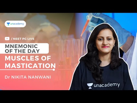 Mnemonic of the day - Muscles of mastication | Dr. Nikita Nanwani