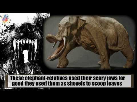 10 Terrifying Monsters (Make You Happy Living In The Present)