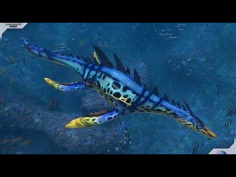 Prehistoric Fauna in Way More Than 300 Seconds - Leptocleidus