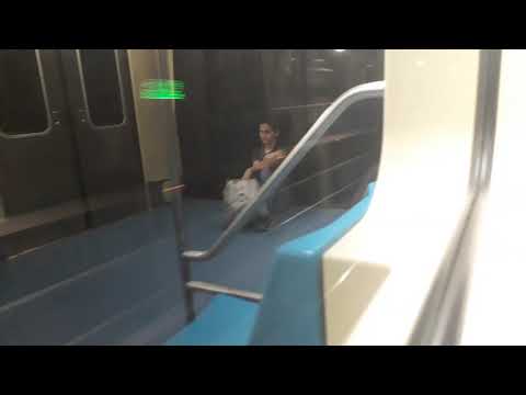 Trecho entre Parada Inglesa e Tucuruvi no TUE I06 - Linha 1 Azul