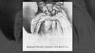 Music video thumbnail preview for The Quick Brown Fox \u0026 Klippa - MELANCHOLY passing into MANIA by Halley Labs Associates