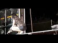 Hot Aadal Padal Tamilnadu Hot Video