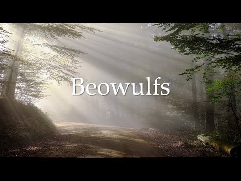 Beowulf in the Gothic language ( Biwawulfs )