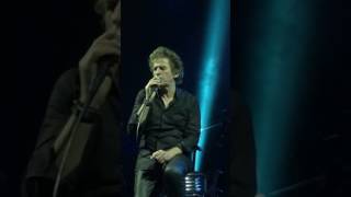 Hubert Félix Thiéfaine : Syndrome Albatros. Epinay sur seine le 04/11/16