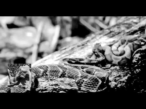 Alex Justino, Monobloq - Crotalus (TouchTalk Remix) [Nin92wo Records]