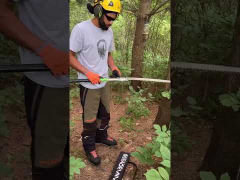 Silky Katanaboy 650mm folding saw. This is a two handed hand saw that can compete with chainsaws!