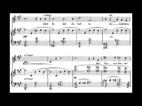 Wolf - Mörike Lieder