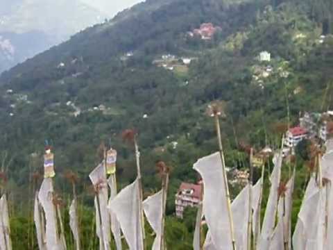 Pelling video