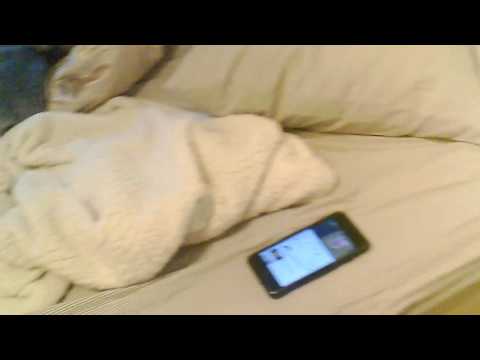 I Played "Backpack For His Applesauce" on a bluetooth speaker