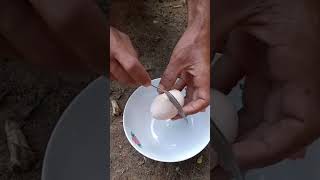 Download lagu TELUR AYAM KAMPUNG JUMBO mp3