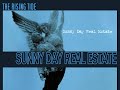 Sunny Day Real Estate - Disappear A432Hz