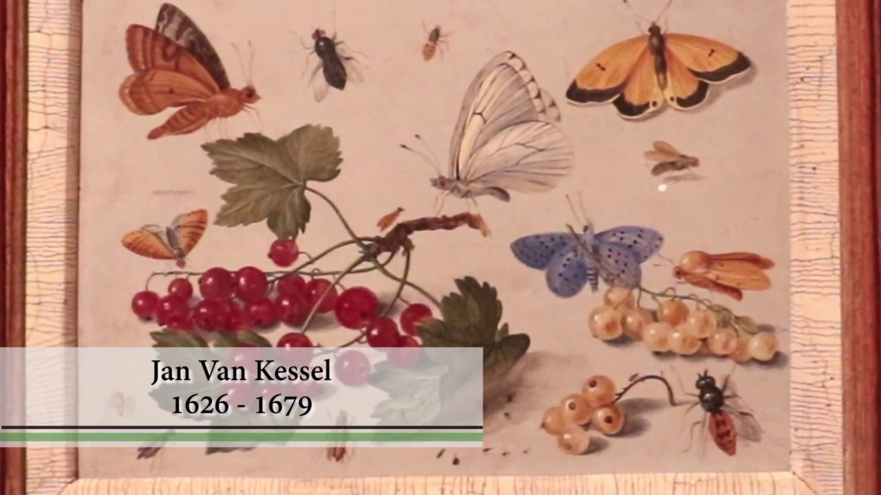 From the Library - Jan Van Kessel