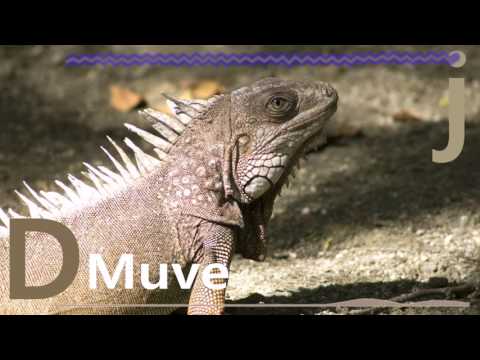 Willie Joe Ft. Shay Sanchez (Prod. D Matic) by DMuvej