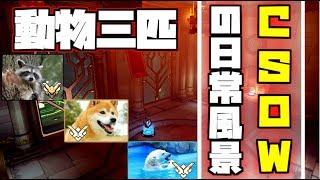 【ＯＷ】平均レートマスター越えの動物三匹！？？CSOWの日常【オーバーウォッチ】