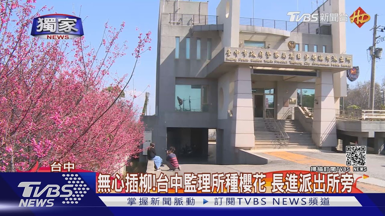賞櫻、拍落羽松、採草莓 台中2派出所櫻花PK