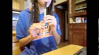 Maeves' March - Cruachan - Tuatha Na Gael - tin whistle cover