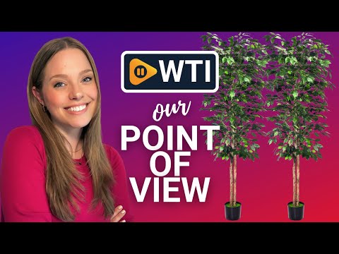 Artificial Ficus Trees - WTI product video review