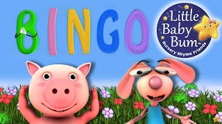 BINGO | Nursery Rhymes | from LittleBabyBum! | ABCs and