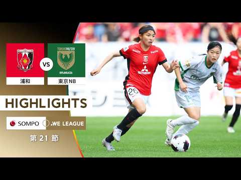 bg-highlight