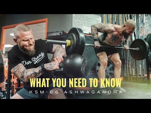 What you NEED to know about KSM-66 Ashwagandha