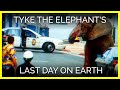 Tyke the Elephant's Last Day on Earth 