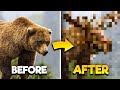 Combining RANDOM Animals In Photoshop