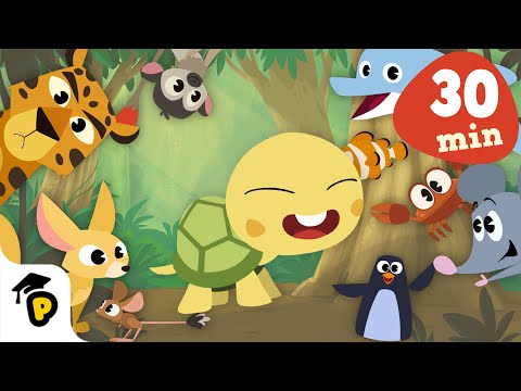 Animals Around Us | Animal Compilation | Kids Learning Cartoon | Dr. Panda TotoTime Season 1 & 2