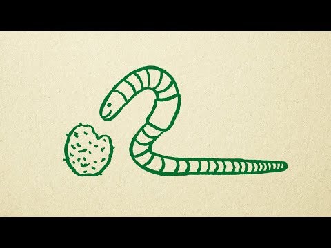 Warum die Knospe Ressourcen schont