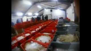 preview picture of video 'Newlyn Fish Market'
