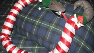 Sammy the Christmas Snake